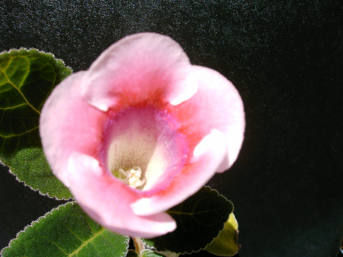 IMAG0028