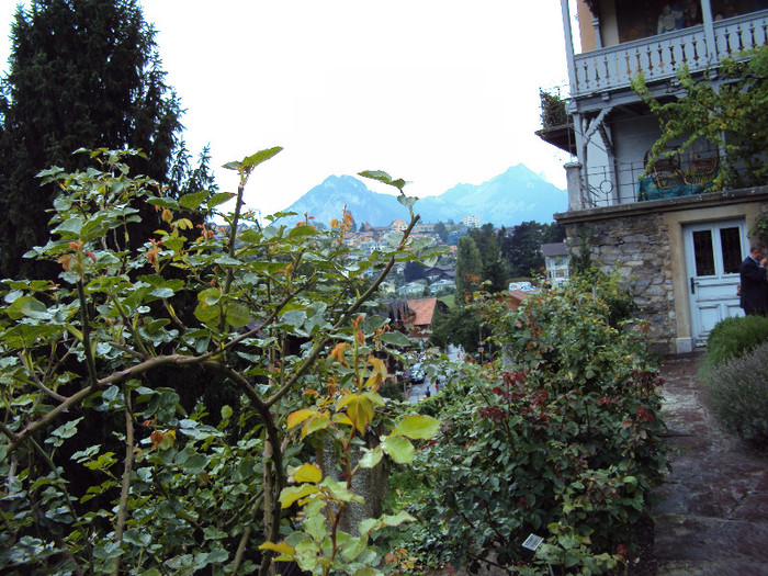 DSC00652