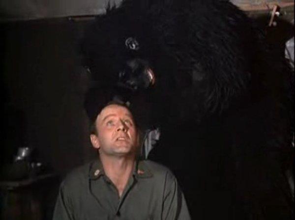 Mash - Mash 1972-1983