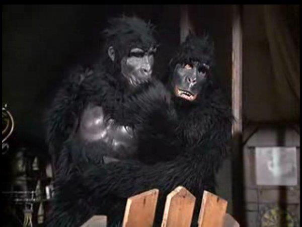 Mash - Mash 1972-1983