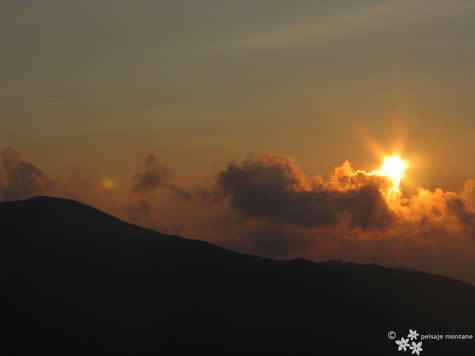 medii-peisaje-vara-5