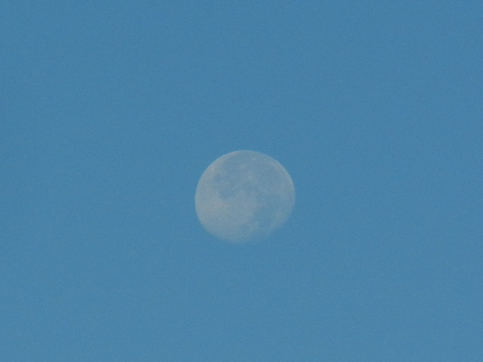 Beautiful moon, 03sep2012 - 001_FENOMENE