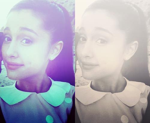 Ariana Grandee (263)