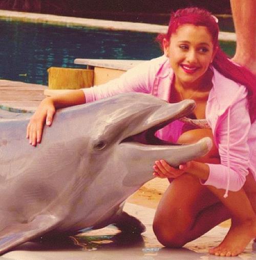 Ariana Grandee (288)
