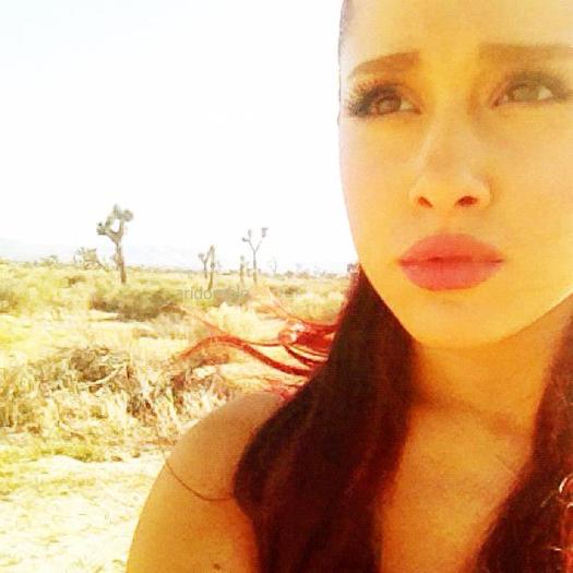 Ariana Grandee (284)