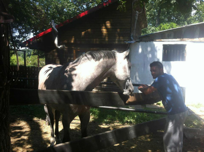 527198_408020342594325_347643603_n - PoZe 1 IuBiRi SeCrEtE