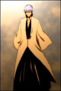 Ichimaru.Gin.240.982331