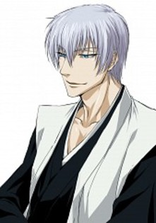 Ichimaru.Gin.240.1233051