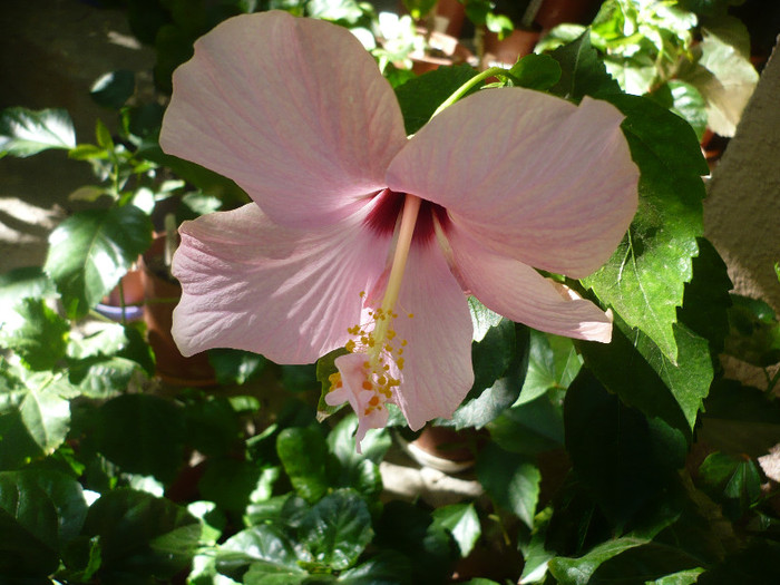 P1180144