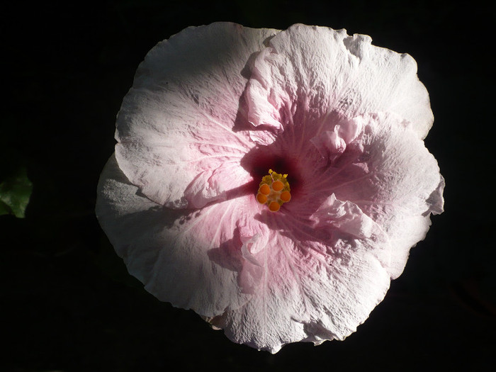 P1180170