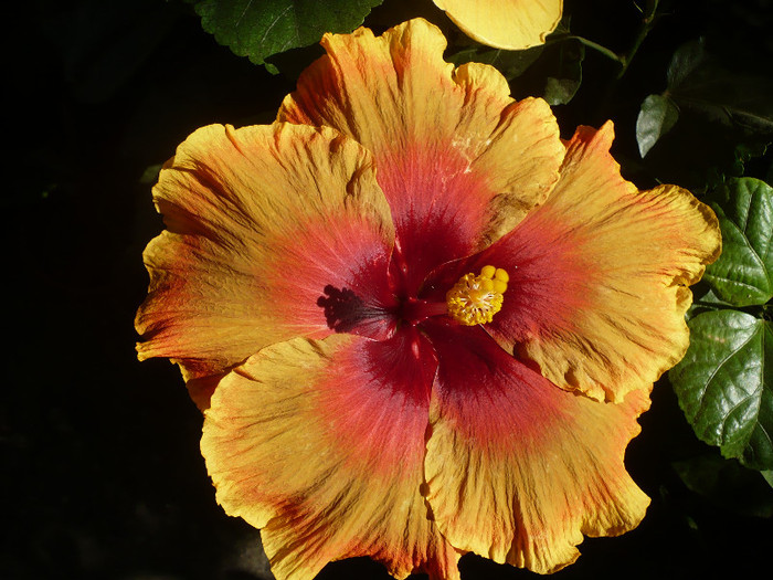 P1180174
