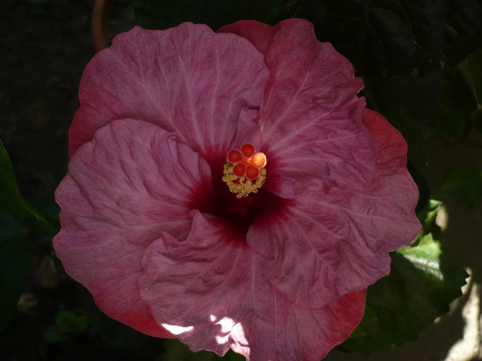 P1180180