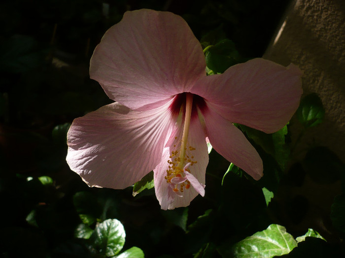 P1180182