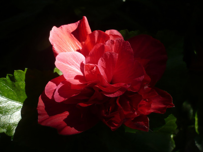P1180183