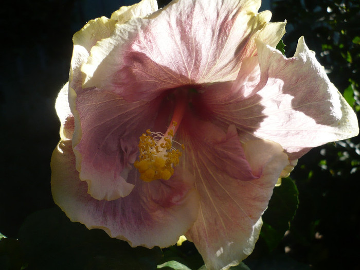 P1180204