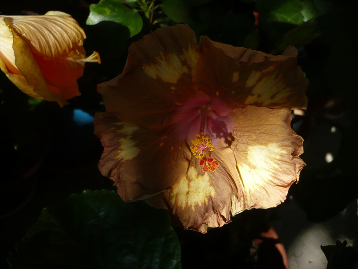 P1180205