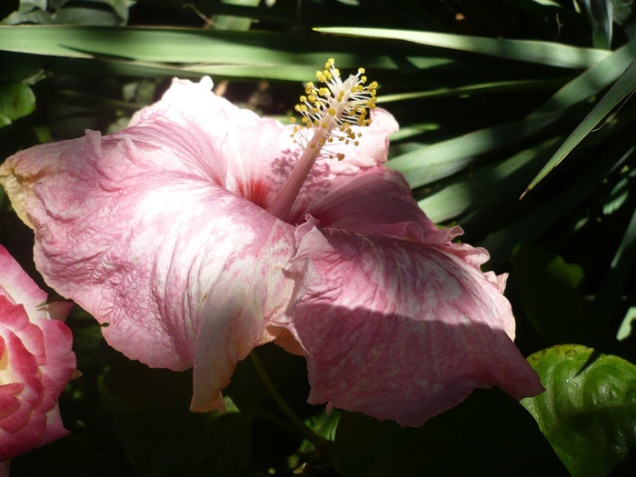 P1180206