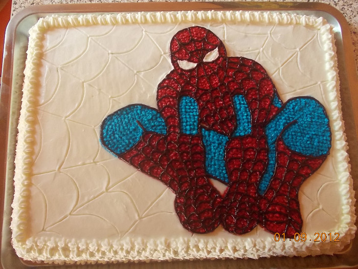 6 - tort spiderman