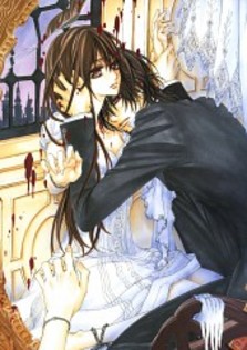  - Vampire Knight