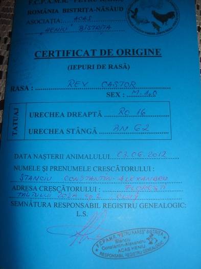 certificat origine mascul - Rex Castor