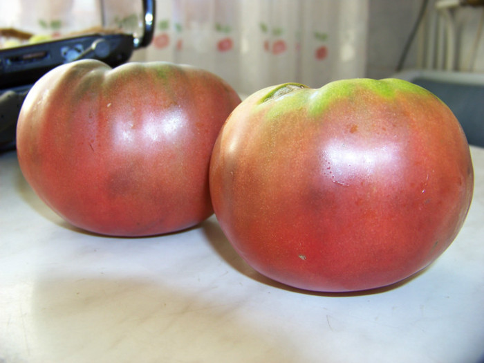 Black Krim - Recolta tomate 2012