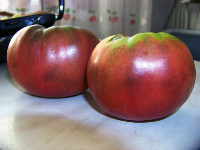 Black Krim 1 - Recolta tomate 2012