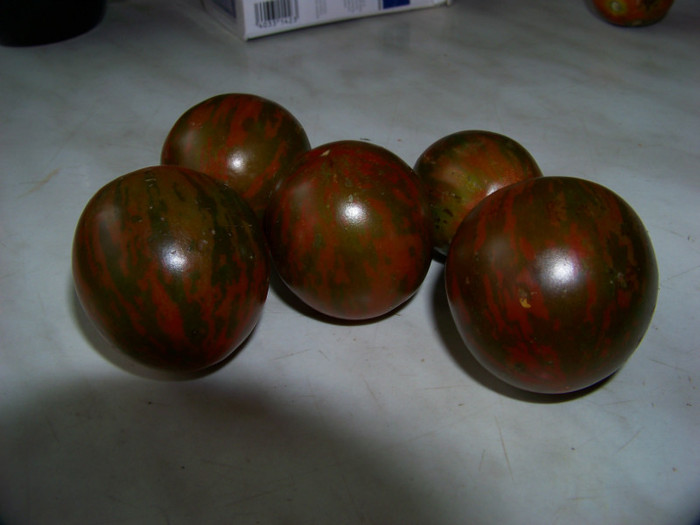 Chocolate Stripes1 - Recolta tomate 2012