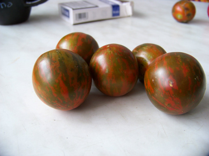 Chocolate Stripes6 - Recolta tomate 2012