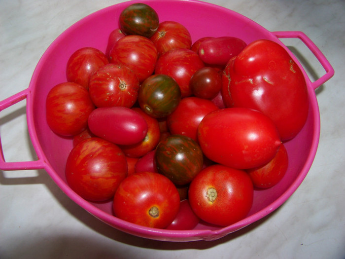 Soiuri tomate 2012_1