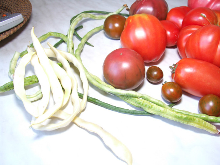 Tomate cu fasole la metru_I - Recolta tomate 2012