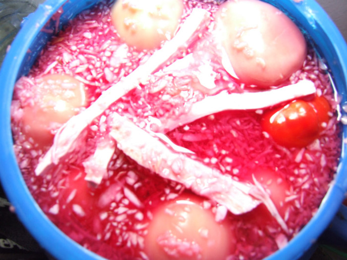 Ardei almapaprika umpluti cu varza (3)