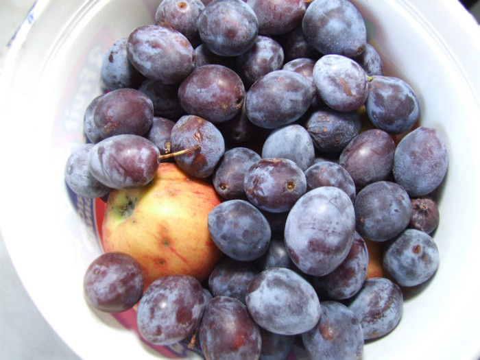 Fructe