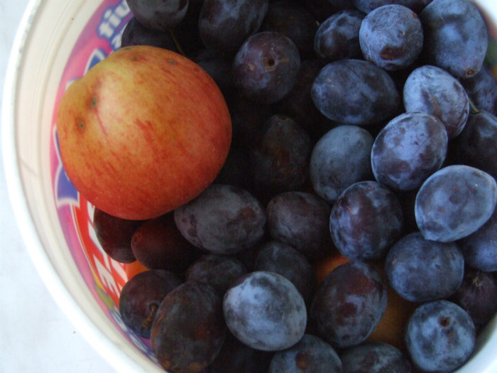 Fructe (2)