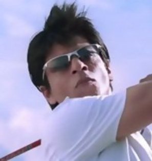 269686_217657494936946_7471952_n