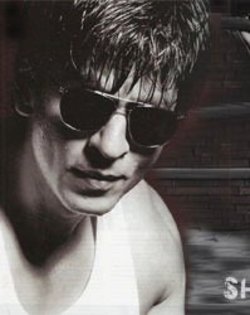 271035_217095634993132_1149230_n