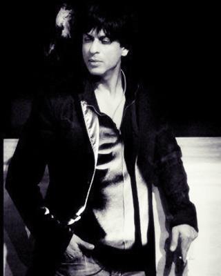 282817_407524279283599_697302879_n - Shahrukh Khan 4