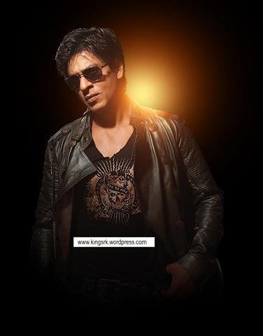 283636_415226205180073_686505336_n - Shahrukh Khan 4