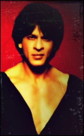 300437_261484877220874_941538401_n