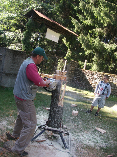 DSCF9404 - sculptura cu drujba