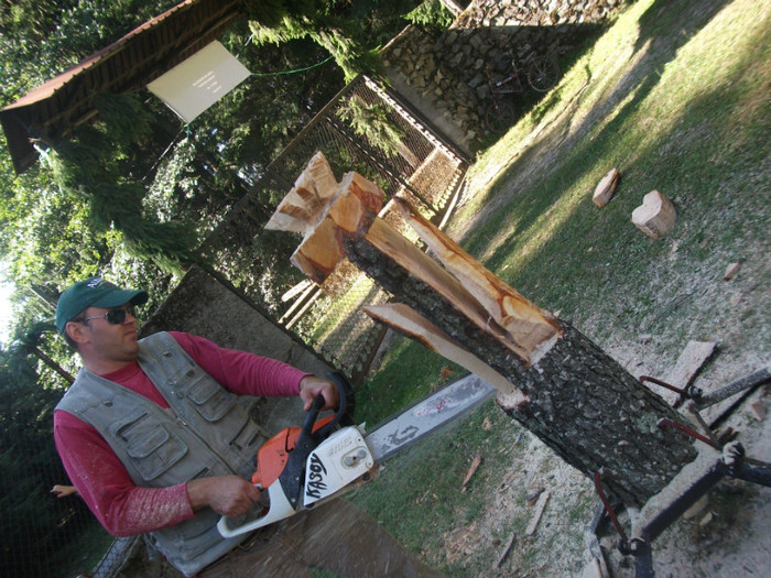 DSCF9410 - sculptura cu drujba