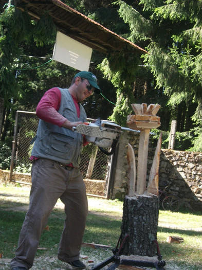 DSCF9418 - sculptura cu drujba