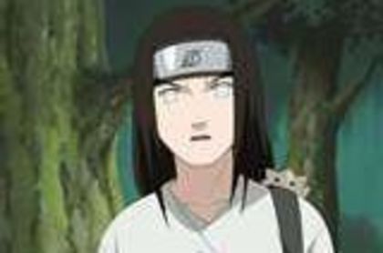 neji mare