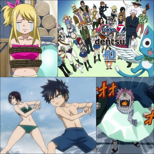 fairy tail - fairy tail