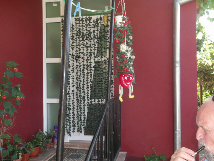 Picture 4679 - FLORI DIVERSE