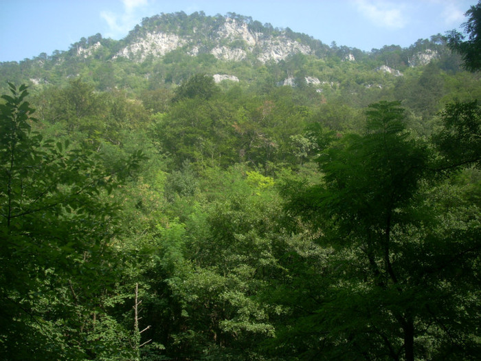 DSCN0753