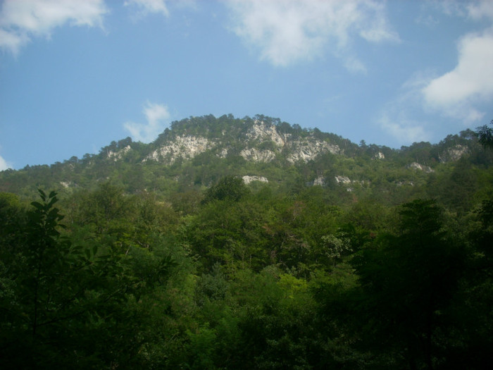 DSCN0756
