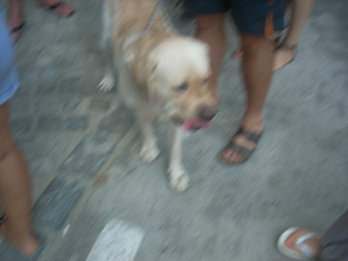 DSCN0764