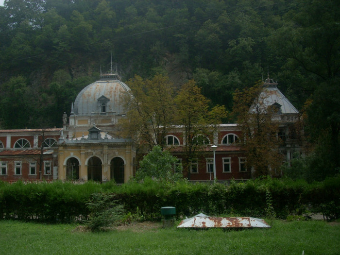DSCN0784