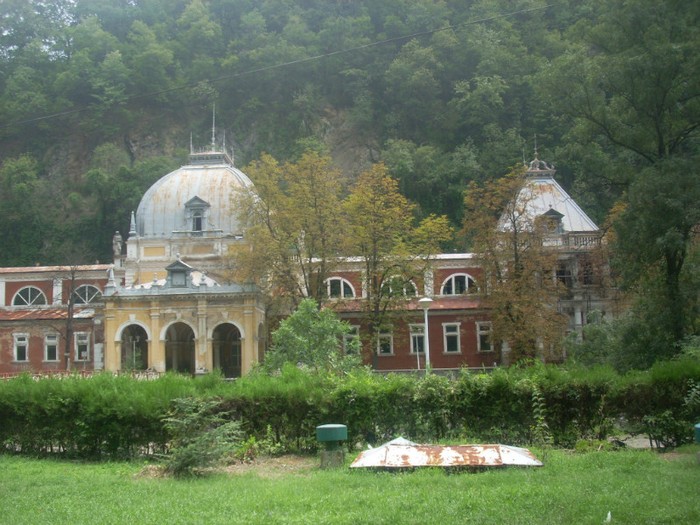DSCN0785