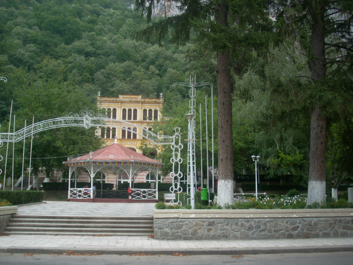 DSCN0786